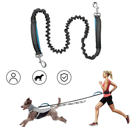 Geoorood Hands Free Lazy Dog Leash with Zipper Pouch for Medium Dogs (8-100Lbs) Walking, Jogging and Running Summervibes Petlovers